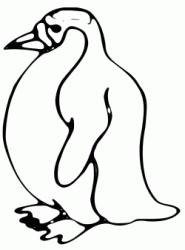 A fat penguin