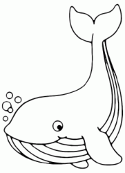 A funny whale