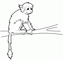 A monkey on a branch