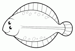 A sole fish