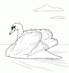 A swan swimming in lake