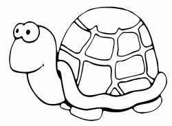 A very slow turtle