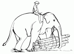 An elephant carries the wooden logs