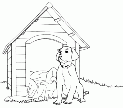 Dog in front of kennel