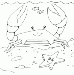 The crab with the starfish