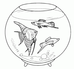 The fish in glass ball