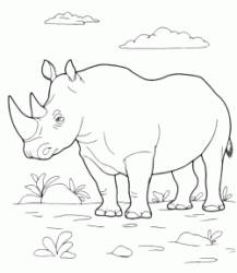 The rhino in hot savanna