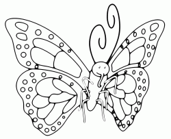 A butterfly with a beautiful wings design