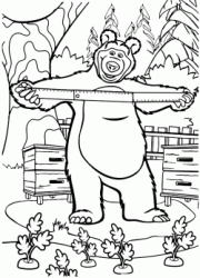 The Bear measure by the yardstick carrots