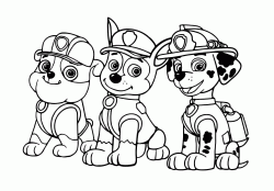 Rubble Chase and Marshall three important members of the Paw Patrol