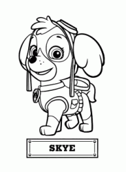 Skye the dog for air rescue