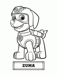 Zuma the dog for the water rescue
