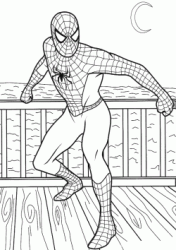 Spiderman on the terrace
