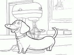 Buddy the dachshund gets a massage with an appliance
